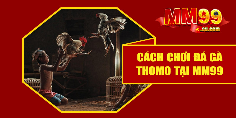 Cách chơi đá gà Thomo tại MM99 – Hướng dẫn chi tiết