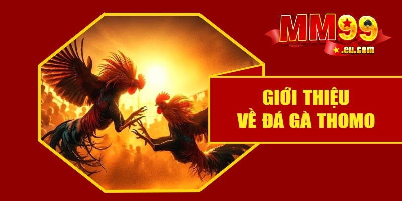 Giới thiệu về đá gà Thomo